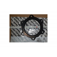 Прокладка фланцевая с 6 отверстиями Ariston 924002