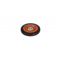 Ролик направляющий ELECTROLUX для MYPRO 8077877028