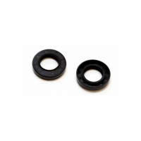 Сальник бака 30x52x10/12 GP ZANUSSI 50095515008 SKL